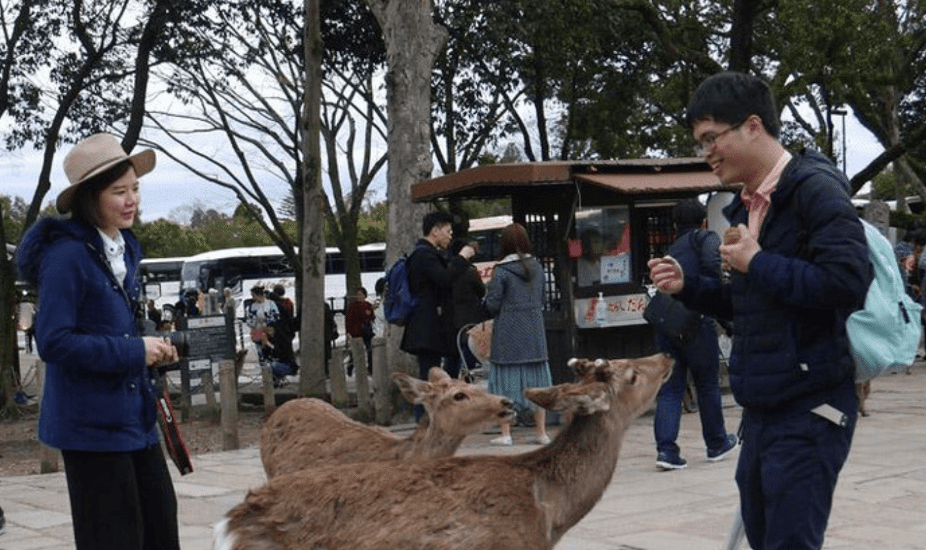 kegiatan magang di jepang